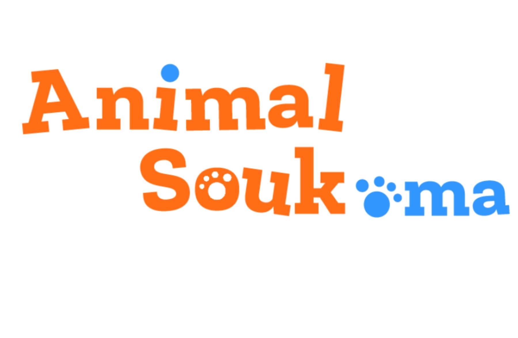 ANIMAL SOUK