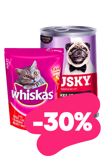 Pet Care