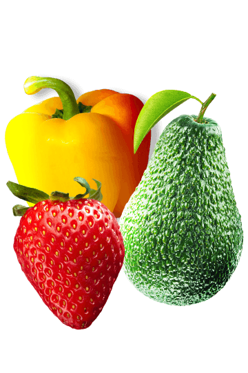 Fresh Produce