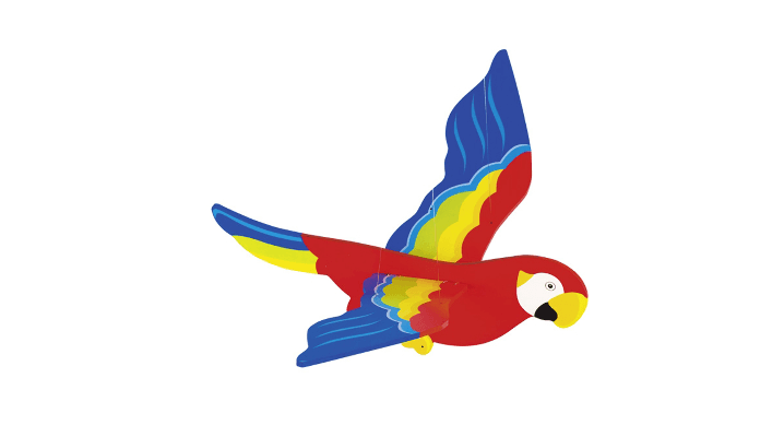 Perroquet, Animal Volant