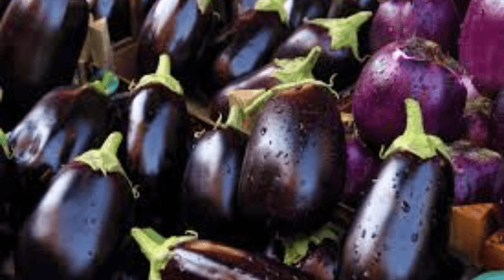 Aubergines