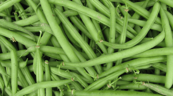Haricots Verts
