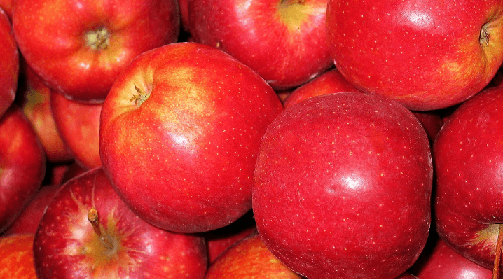 Pomme Royale