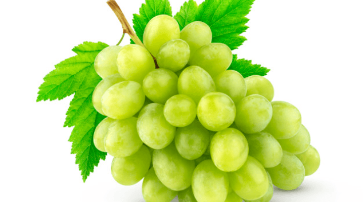 Raisin Vert