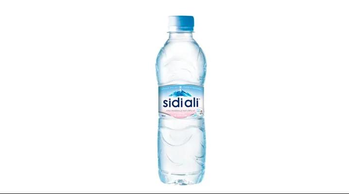 Sidi Ali