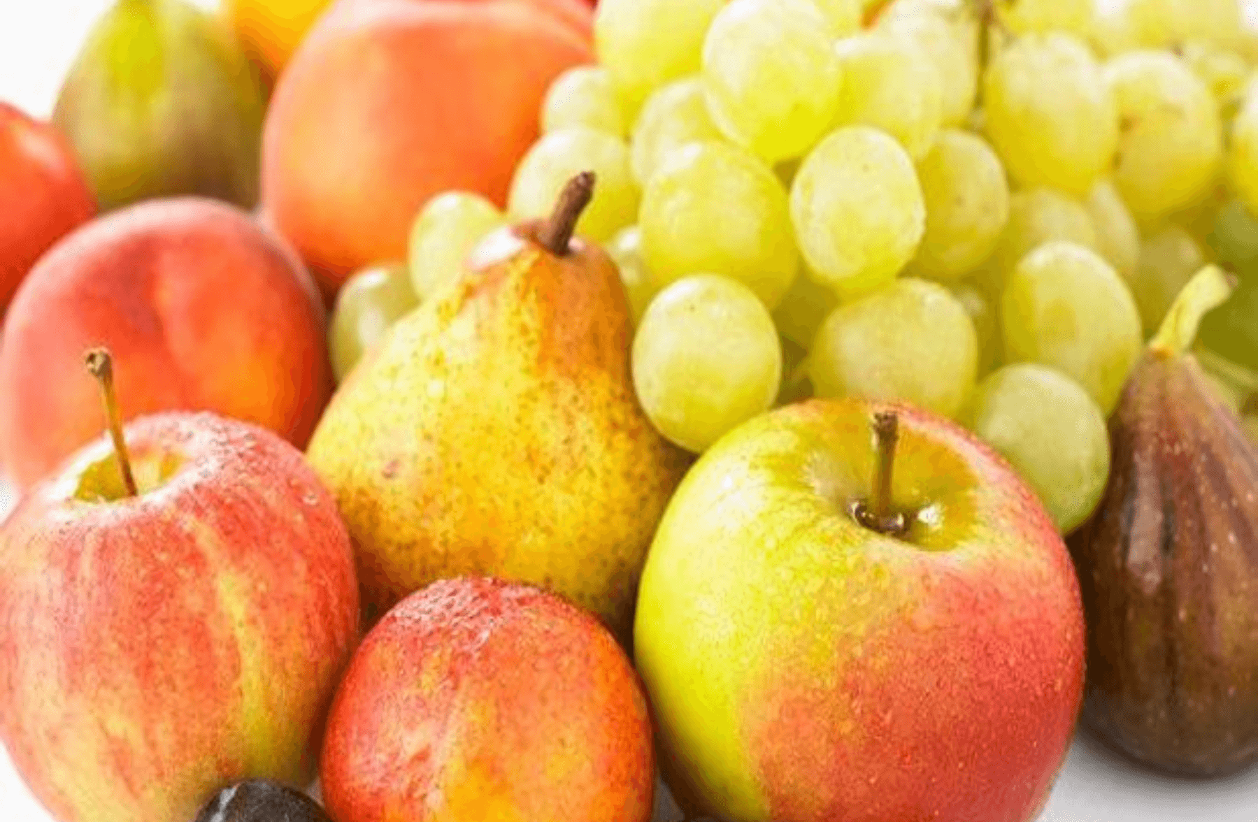 Fruits de Saison