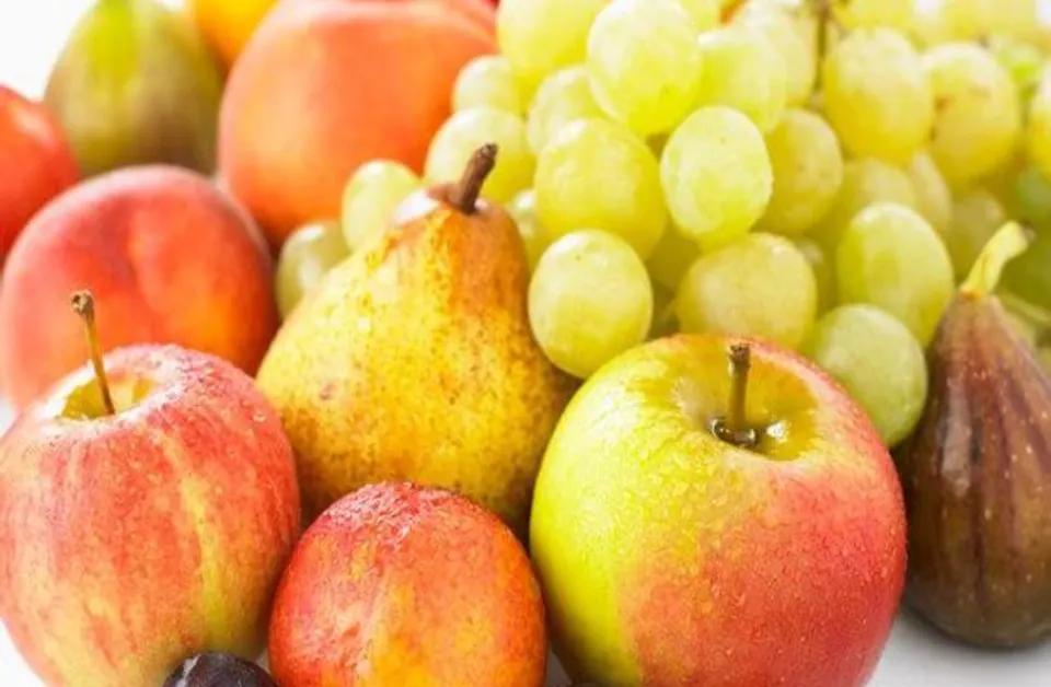 Fruits de Saison