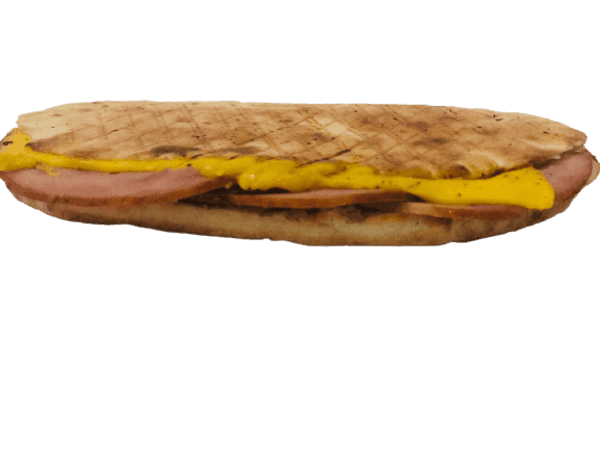 Toasted Sandwich Dinde Fumé + Frites