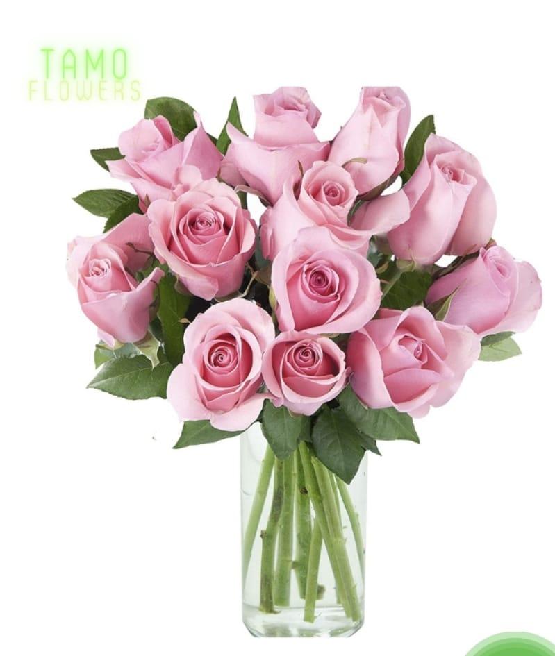 Bouquet de 6 roses roses