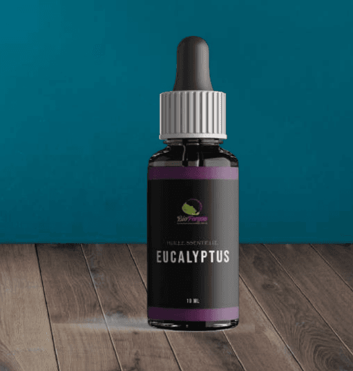 Huile Essentiel D'Eucalyptus