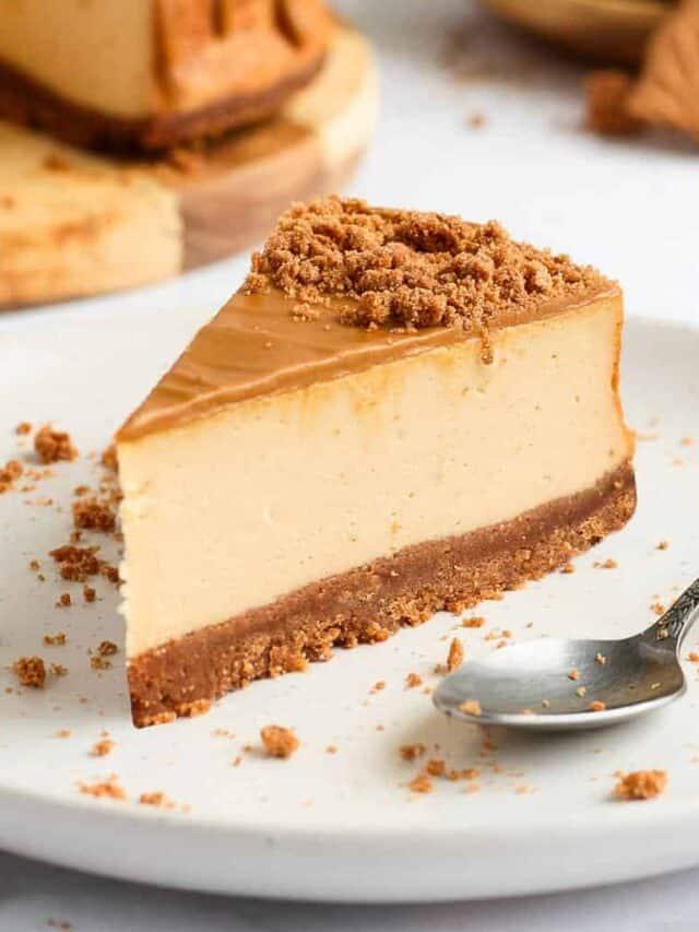 Cheesecake Speculoos
