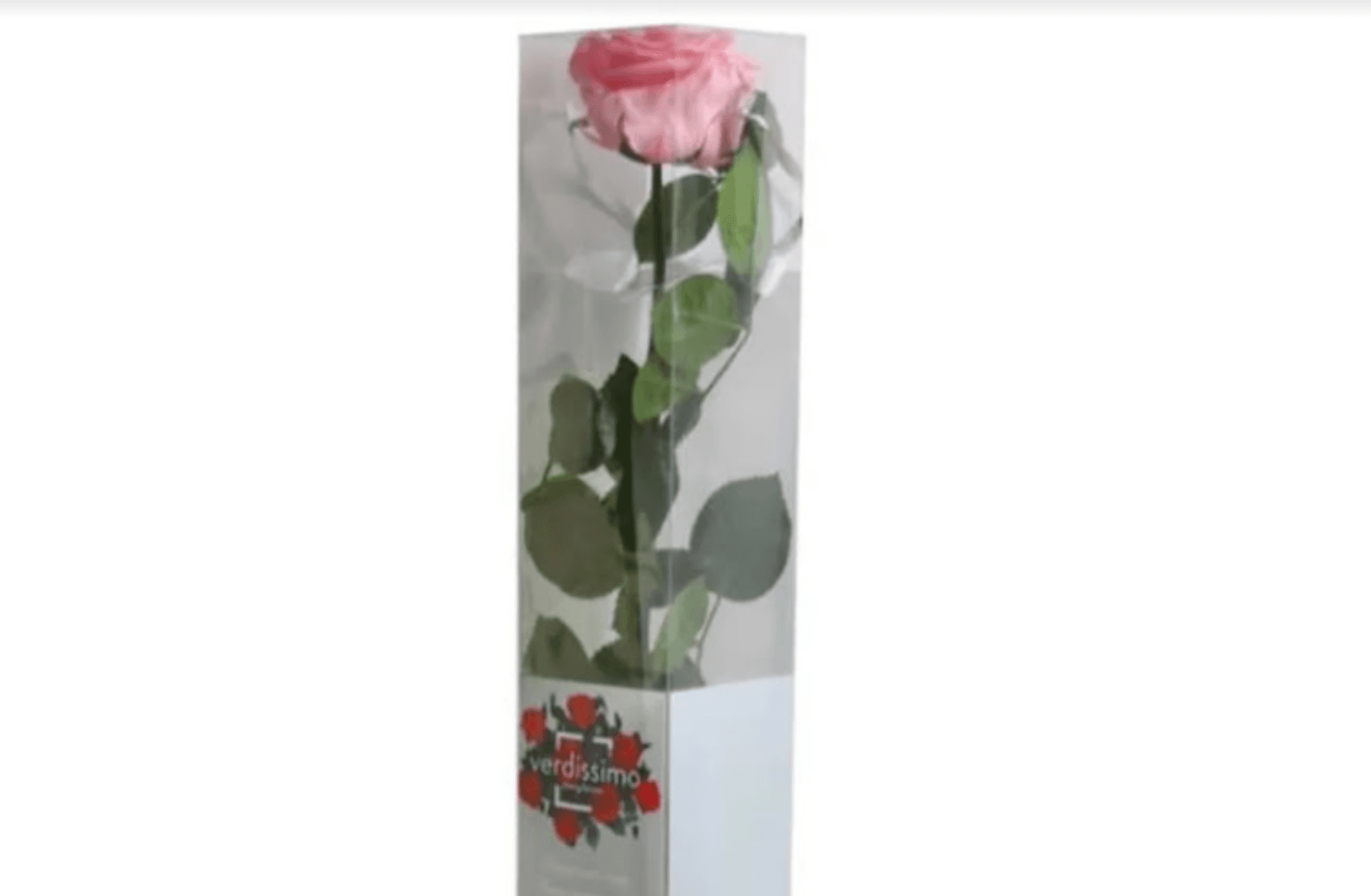 Rose Eternelle dans un carton