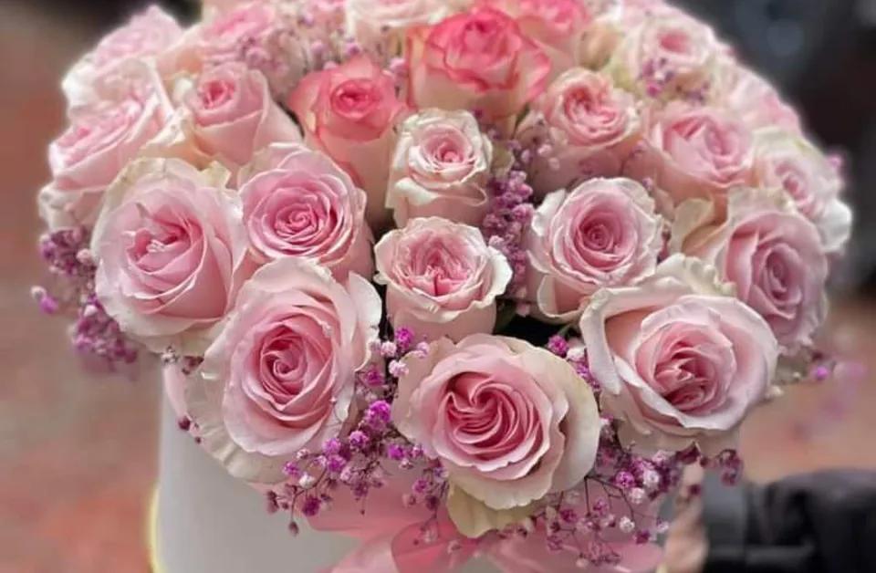 Box Blanche De Rose Rose