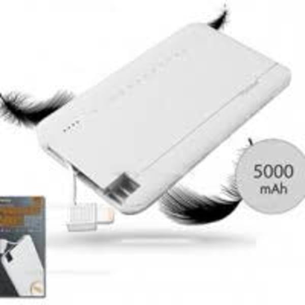 Power Bank 5000mAh Câble 2 en 1 intégré (Iphone / Micro) et port USB unique REMAX PPP-16