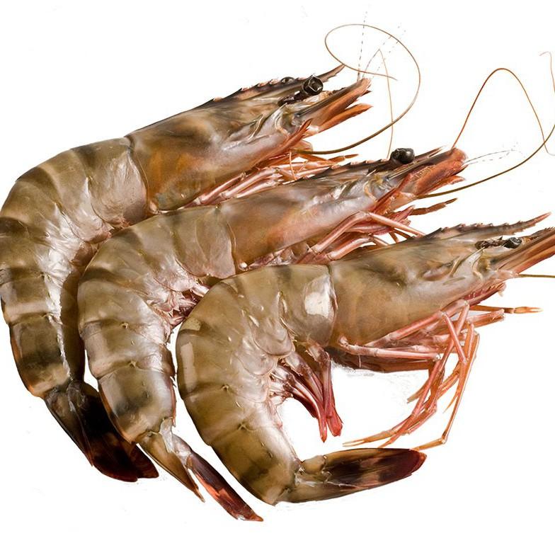 Crevettes Epais