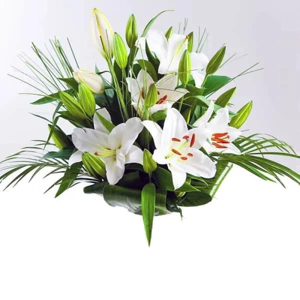 Lys Blanches (10 tiges)