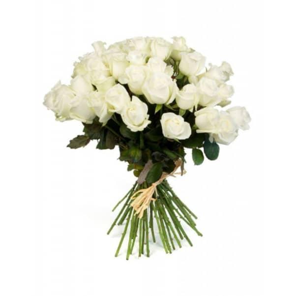 30 Roses Blanches