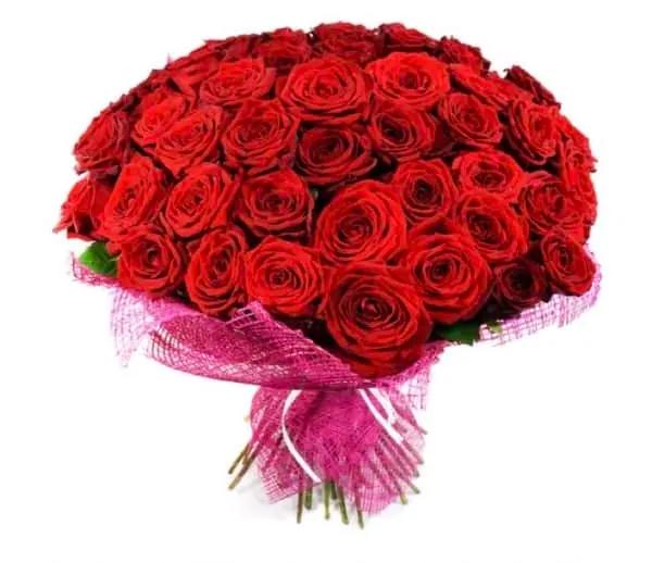 50 roses rouges