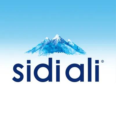 Sidi Ali