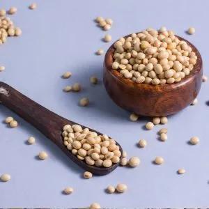 Haricots