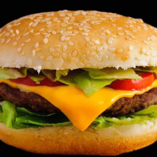 Hamburger Viande Hachée + Frites