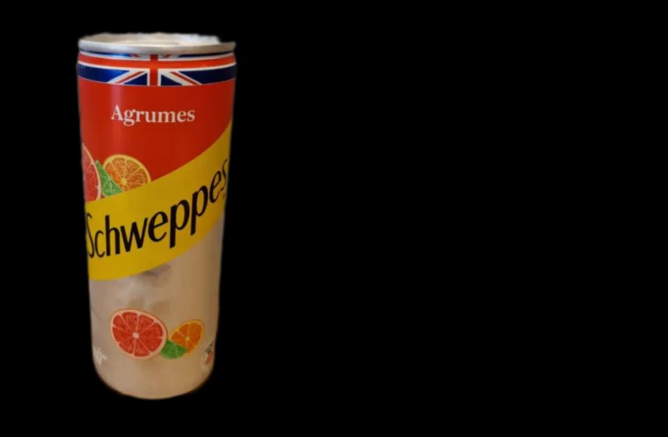 schweppes agrume 25 cl