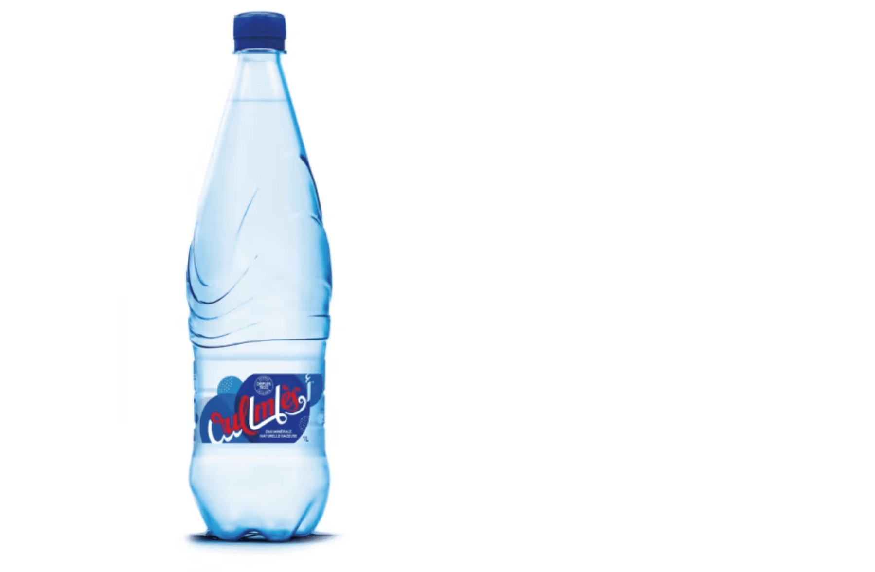 Eau Gazeuse Oulmes - 50cl