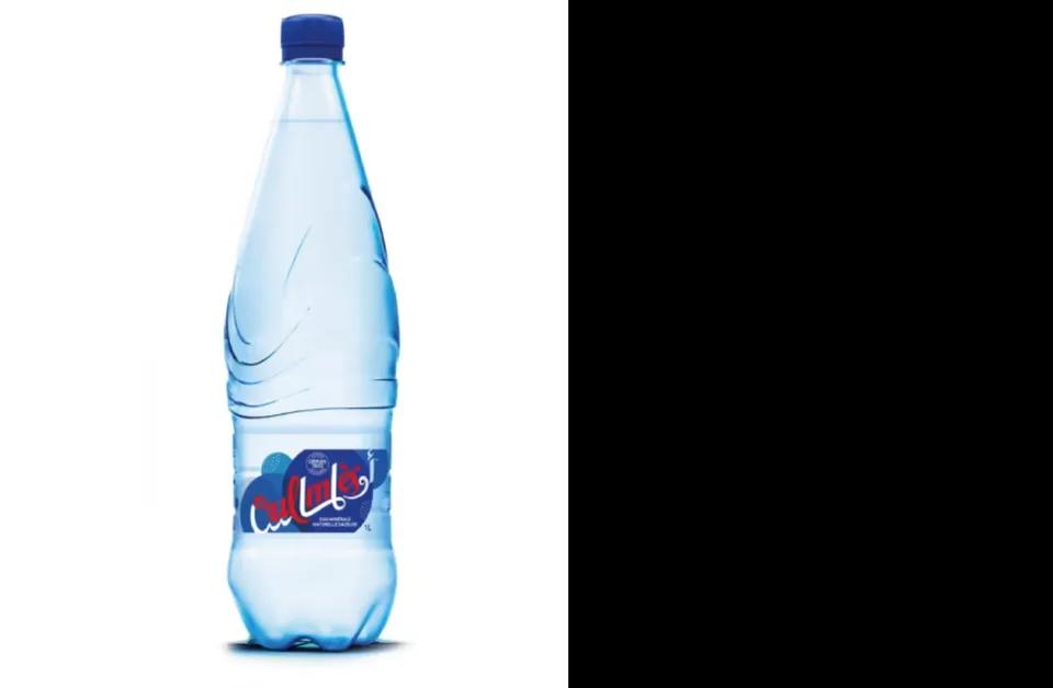 Eau Gazeuse Oulmes - 50cl