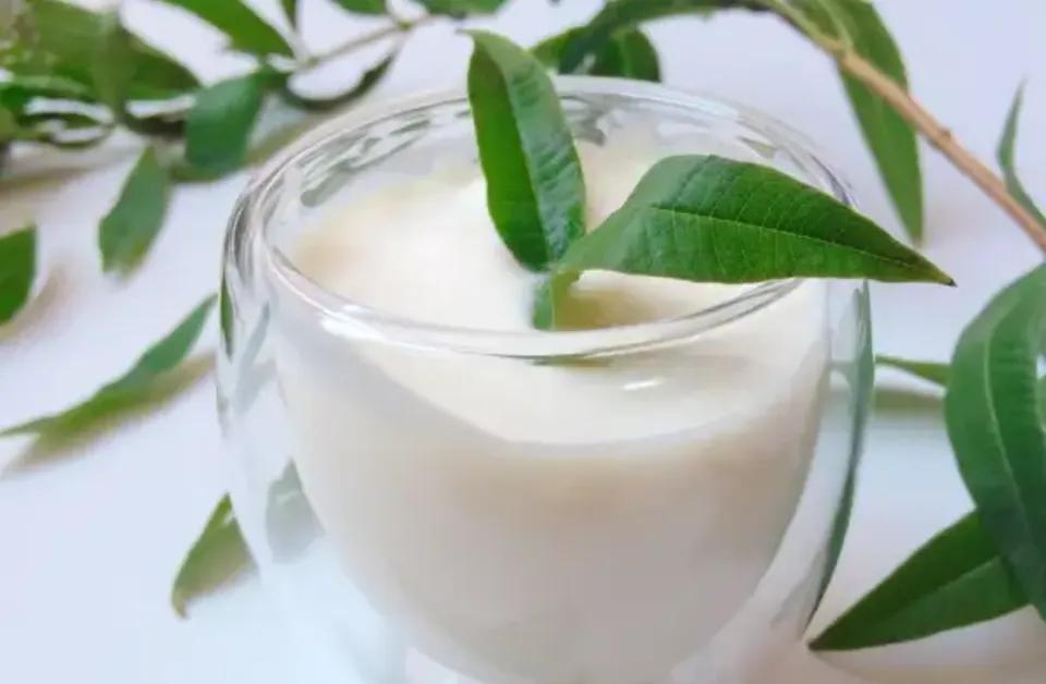 Verveine au Lait