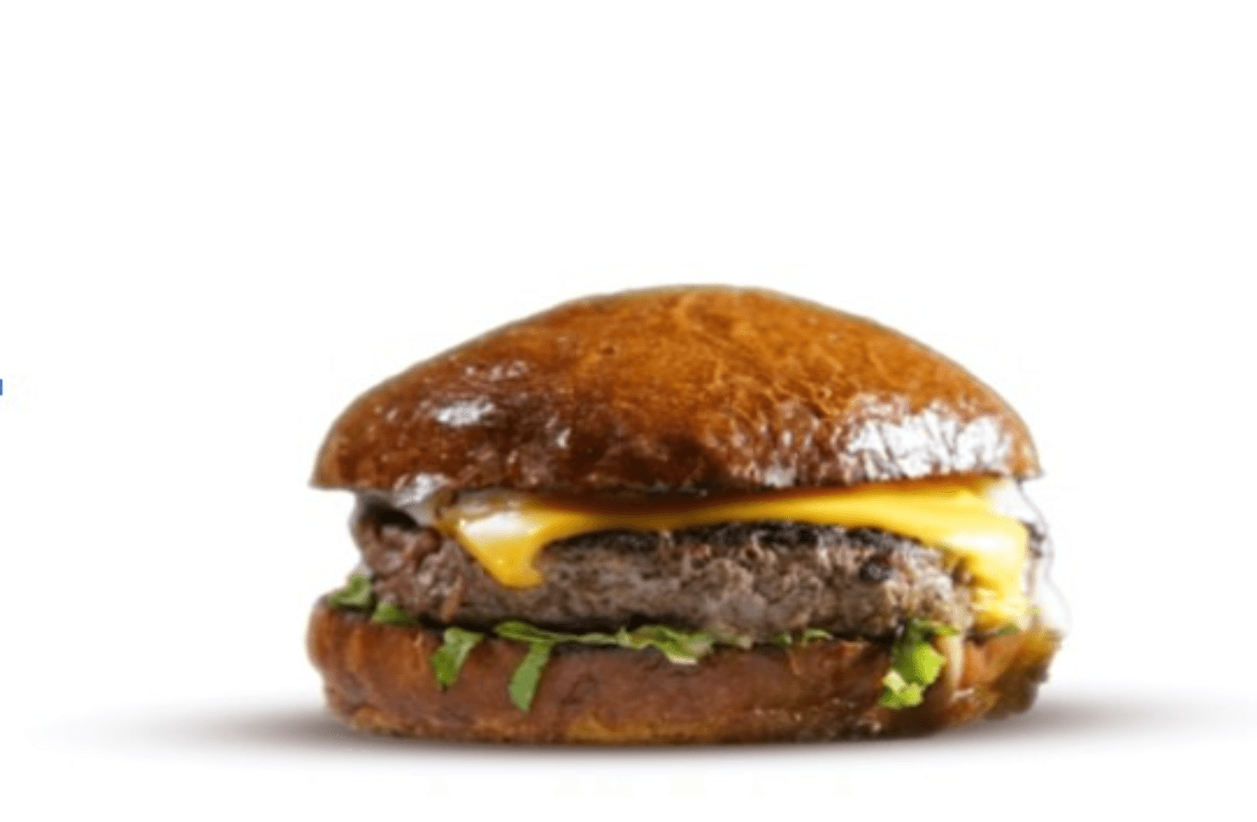 Cheese Burger