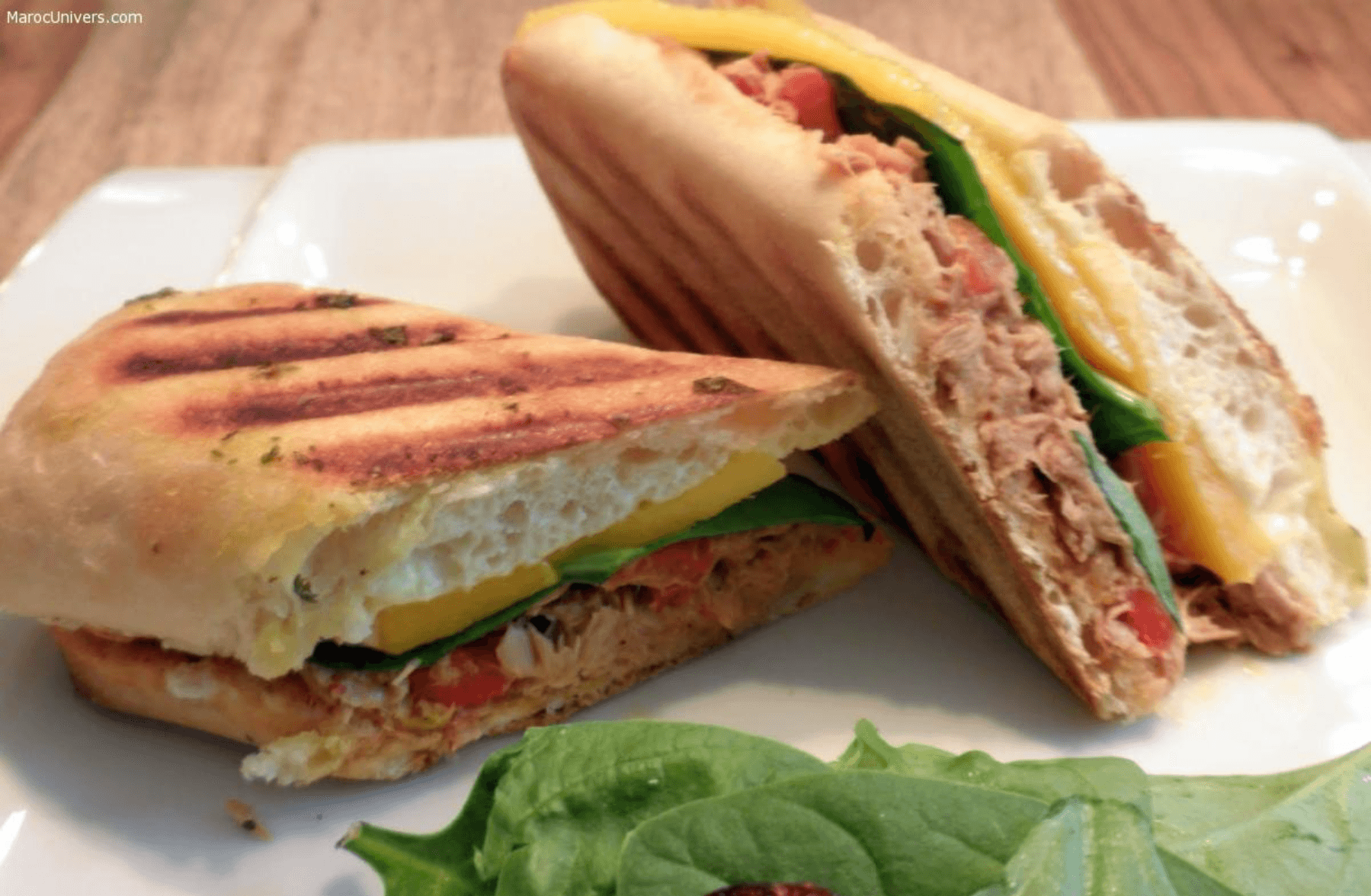 Panini Thon + Fromage Rouge + Cacher + Luncheon