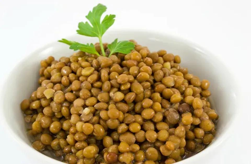 Les lentilles