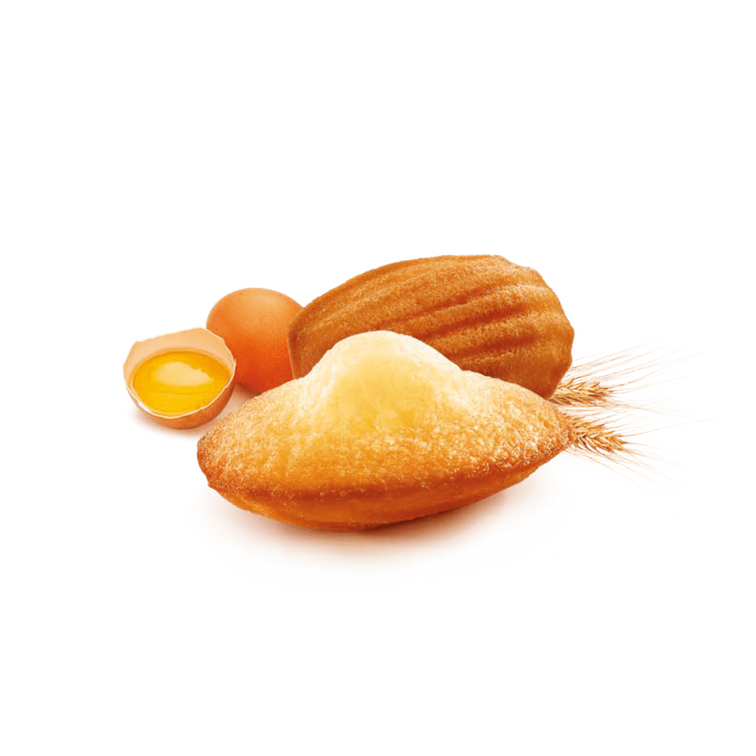 Boite Madeleine Nature