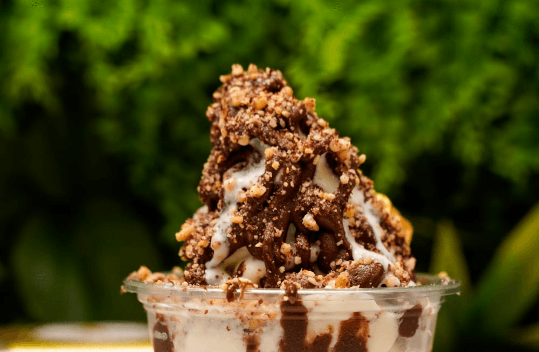 Yaourt Glacé Medium