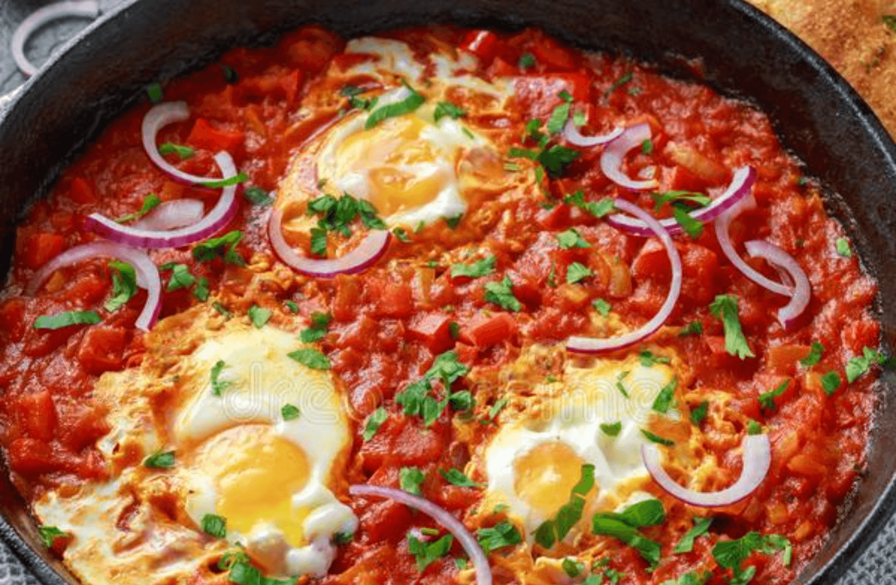 عجة كبيرة اسكالوب