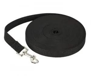 Longe pour chien 10M