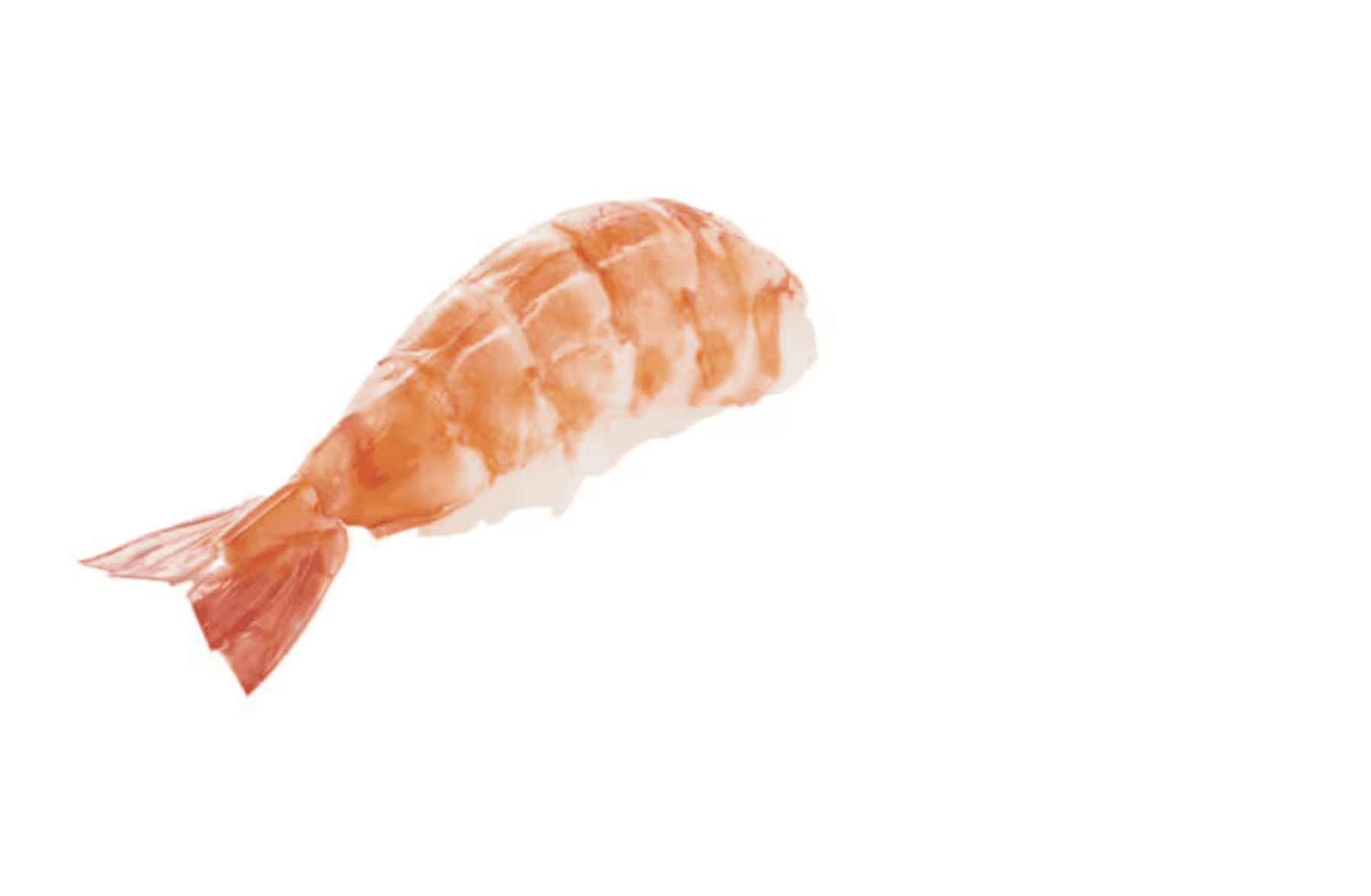 Nigri Crevettes-2 Pièces