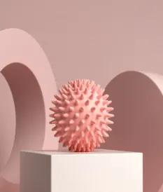 Hedgehog massage ball