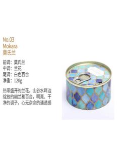 Iron Can Creative Scented Candle