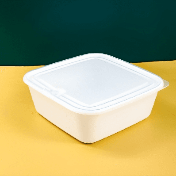 1001-2 Square fresh keeping box