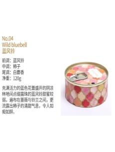 Iron Can Creative Scented Candle N.04