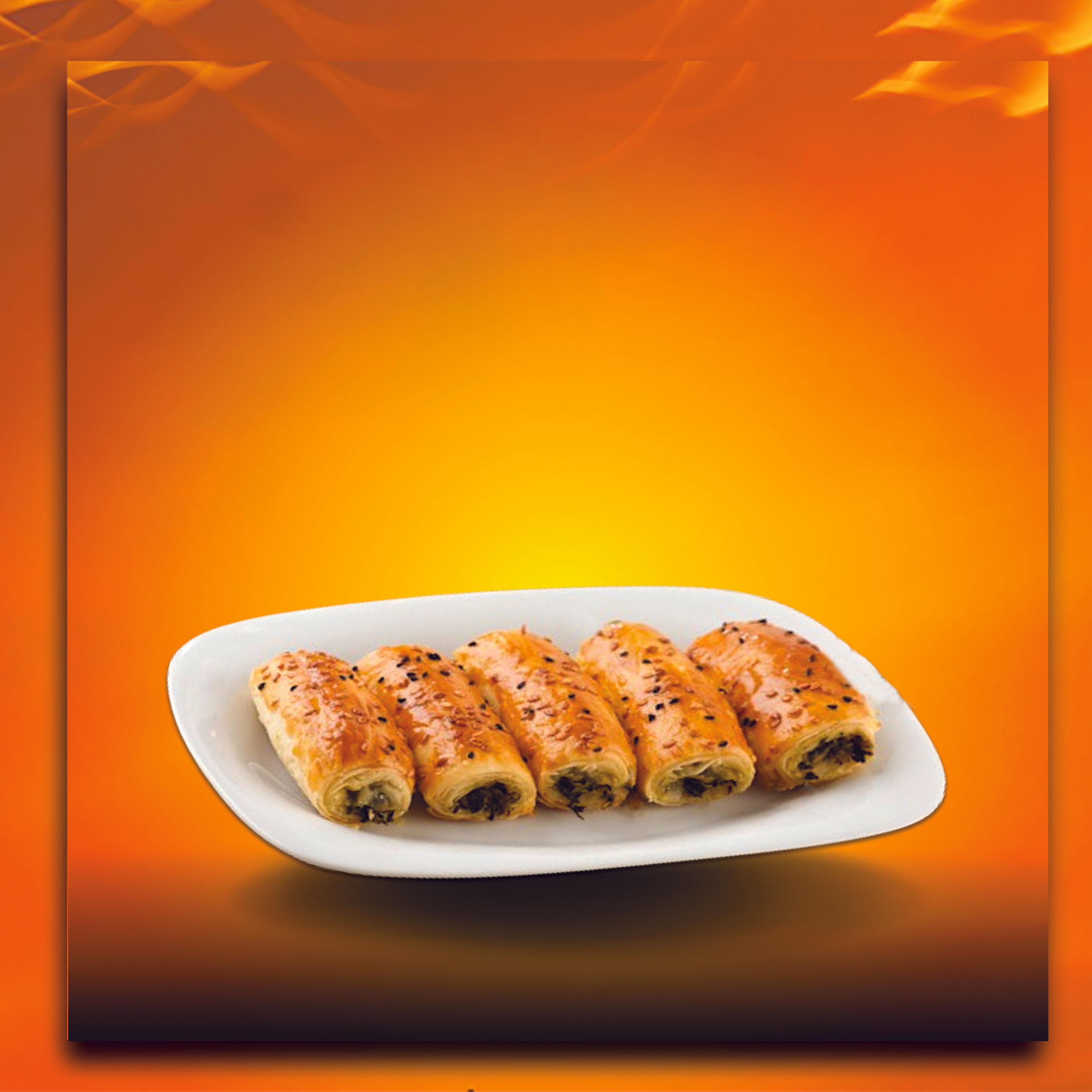 Ispanakl? Börek Turc