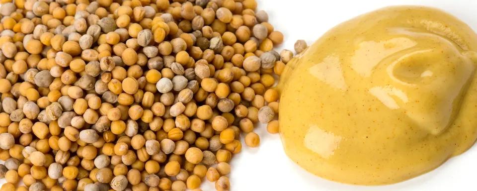 Moutarde 150g