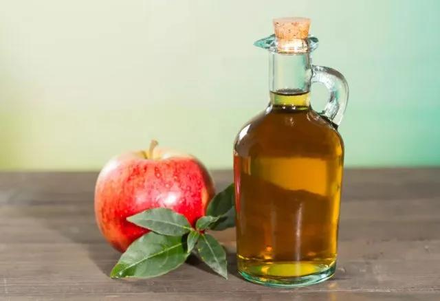 Vinaigre de Pommes 500ml
