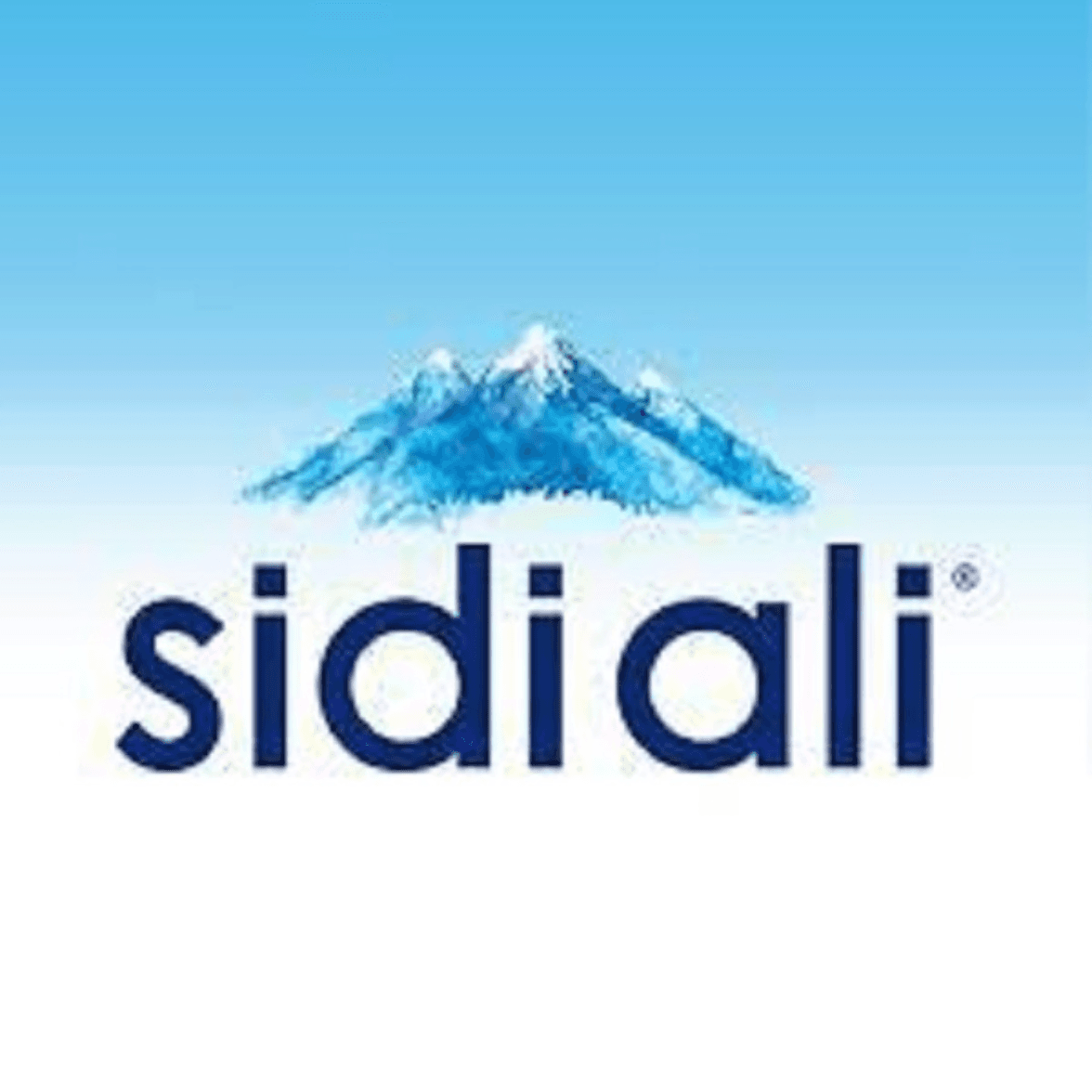 Sidi Ali 33CL