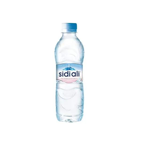 Sidi Ali Eau minérale 50cl
