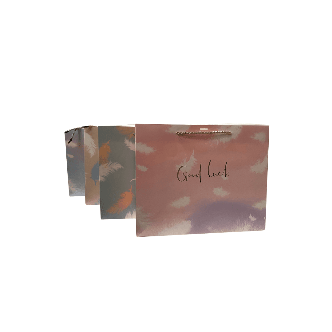 Sac A Cadeau Good Luck  Lux Design De Plume Avec Rubon L