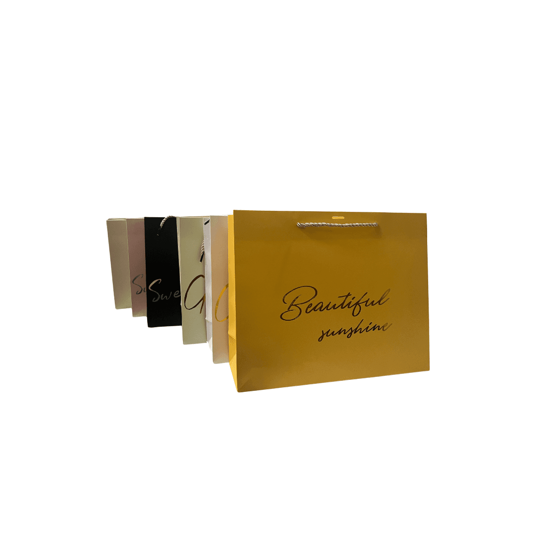 Sac A Cadeaux  Lux Avec Rubon  L