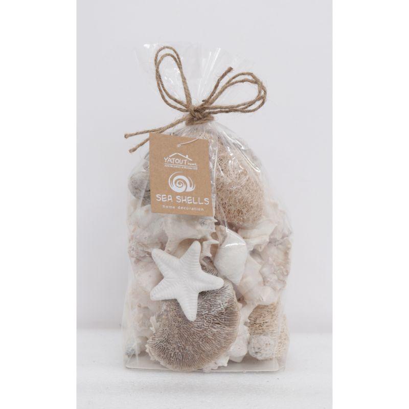 Sachet Melange Coquillage Nature (L12xh16cm)  Ref De146004