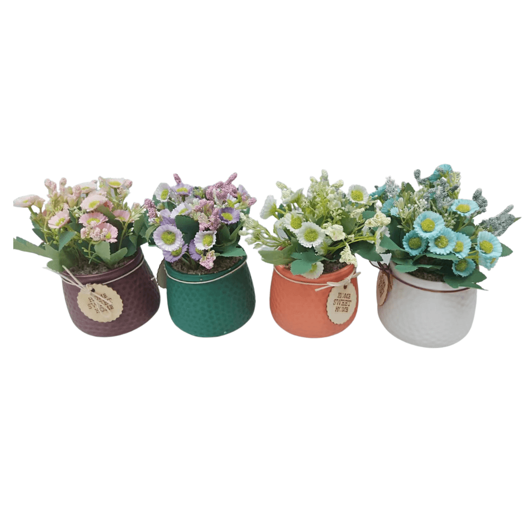 Pot  Avec Fleurs Botanica